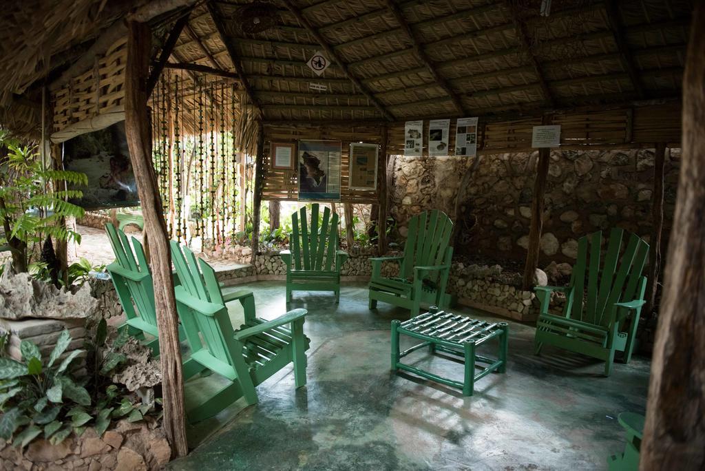 Hostal Dona Chava ペデルナレス エクステリア 写真