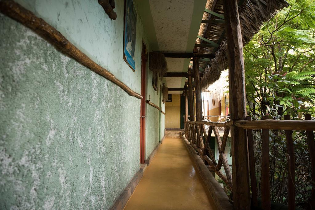 Hostal Dona Chava ペデルナレス エクステリア 写真