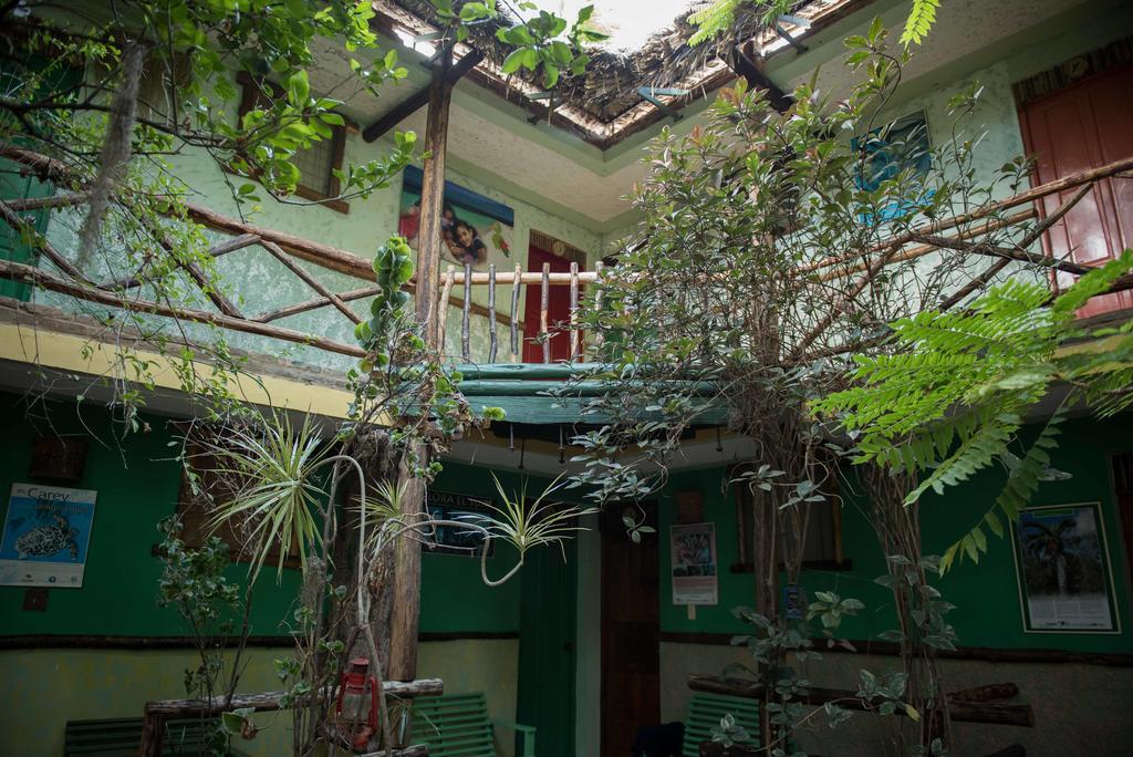 Hostal Dona Chava ペデルナレス エクステリア 写真