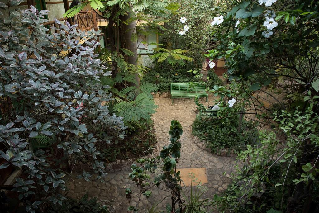 Hostal Dona Chava ペデルナレス エクステリア 写真