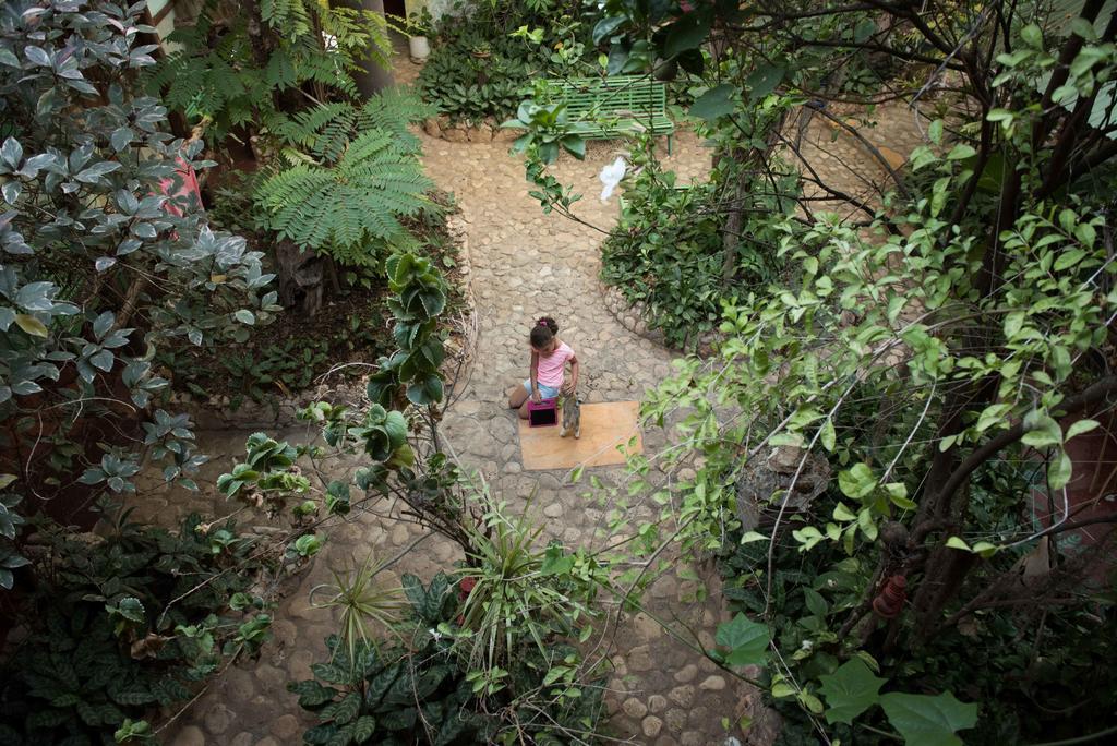 Hostal Dona Chava ペデルナレス エクステリア 写真