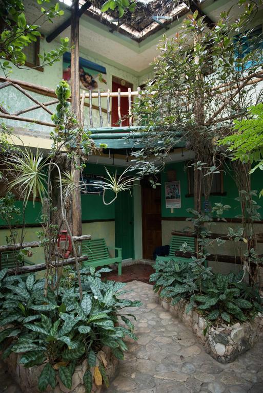 Hostal Dona Chava ペデルナレス エクステリア 写真