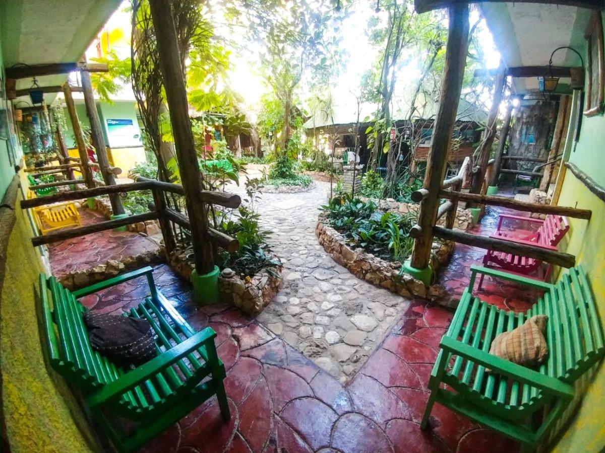 Hostal Dona Chava ペデルナレス エクステリア 写真