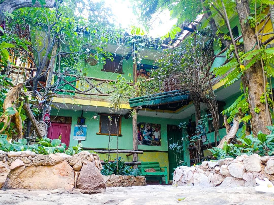Hostal Dona Chava ペデルナレス エクステリア 写真
